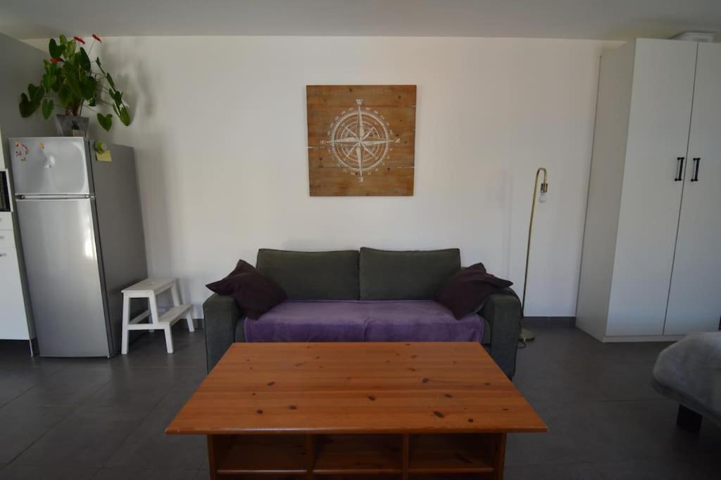 Grand Studio Independant Avec Jardin Goussainville  Exterior photo